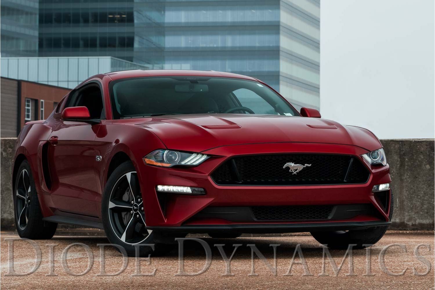 Combination Lamp Installed on Mustang