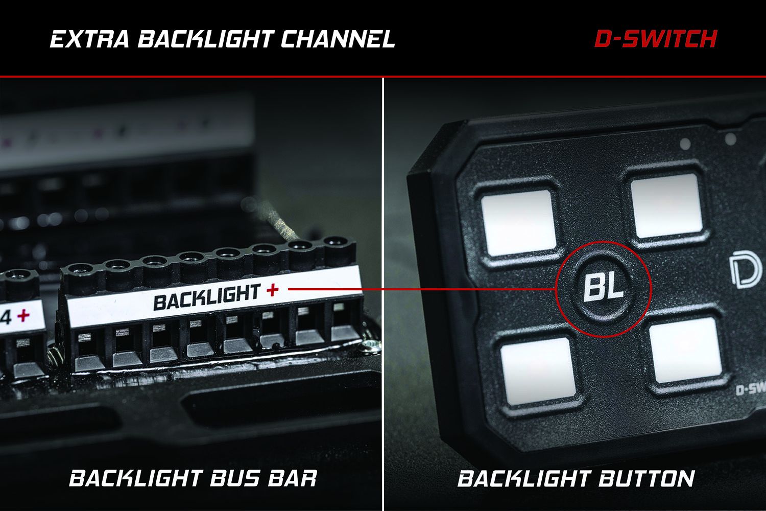 D-Switch dedicated backlight bus bar channel for accent lighting