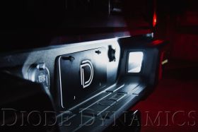 License Plate LEDs for 2019-2023 Ford Ranger (pair)