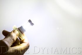 5202/PSX24W XP80 LED Bulbs