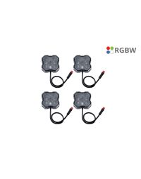 Stage Series RGBW LED Rock Light (4-pack)