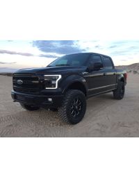 2015-2017 Ford F-150 Switchback LED Boards