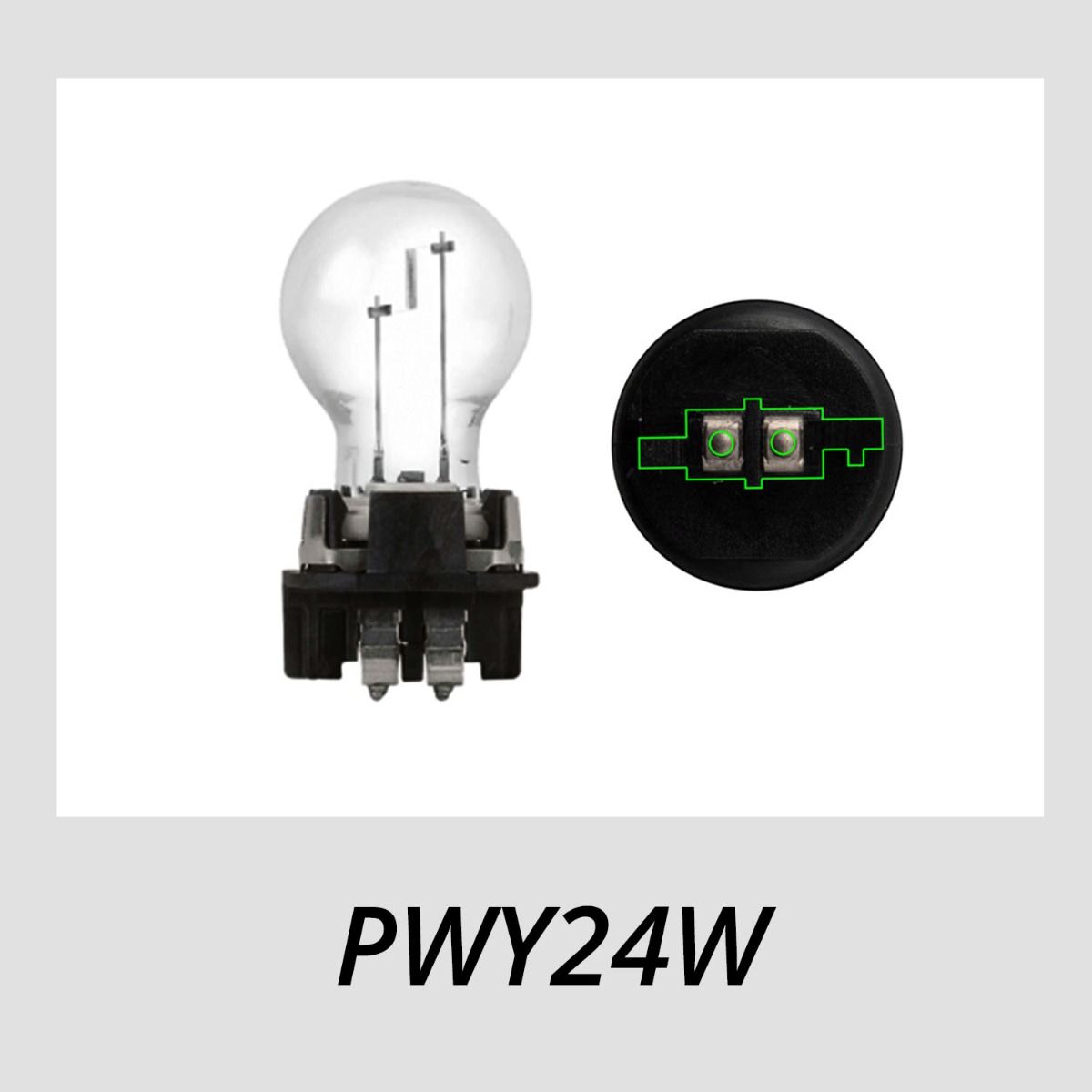 PWY24W