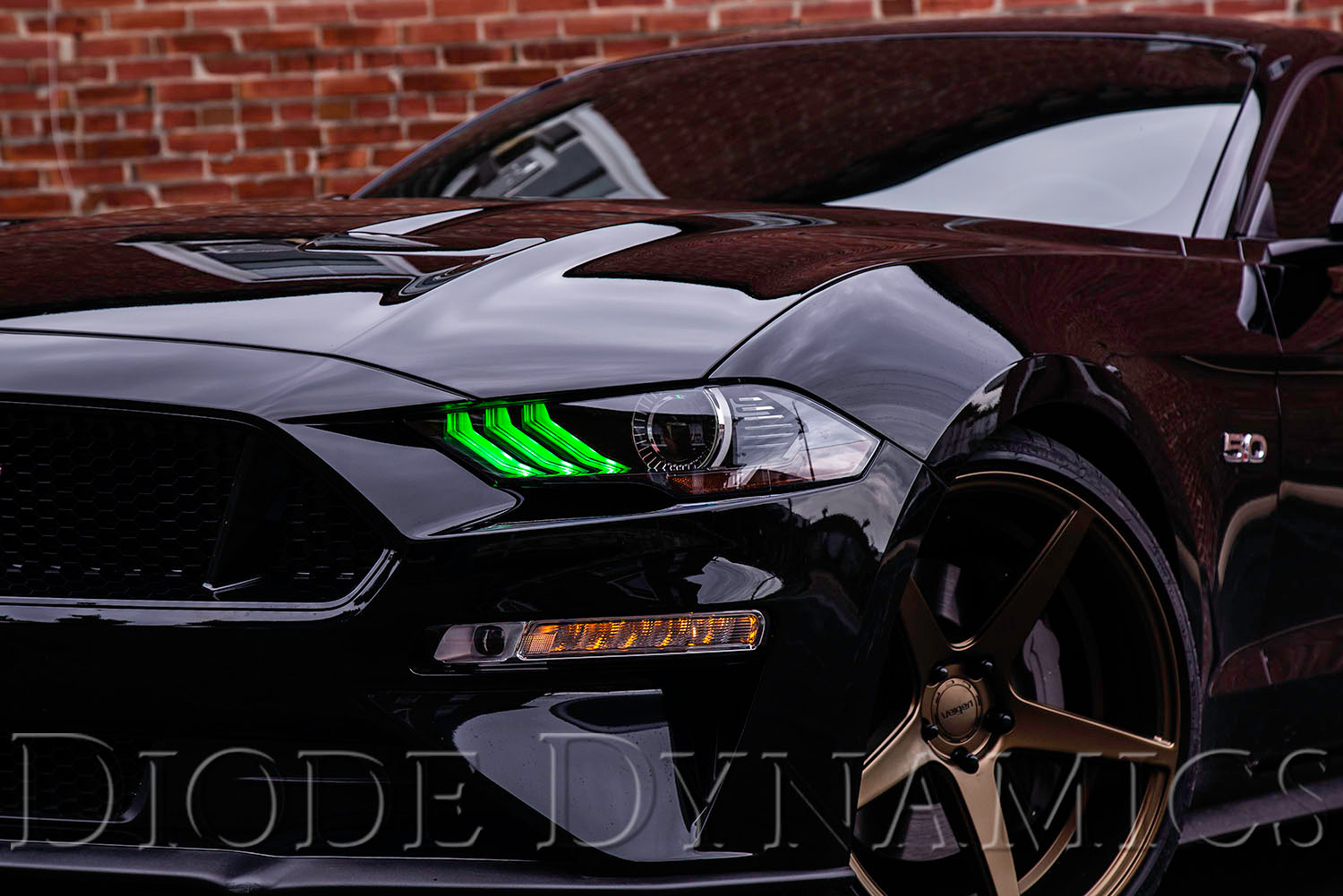 Diode Dynamics Multicolor LED Boards for 2018-2019 Ford Mustang